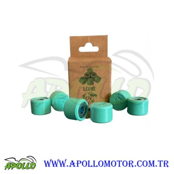 LEONE PERFORMANS BAGASI 6 LI (16x13x4.5 GR) 50CC